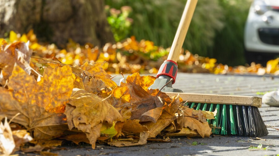 Leaf removal by Cut Trim Blow&Go.