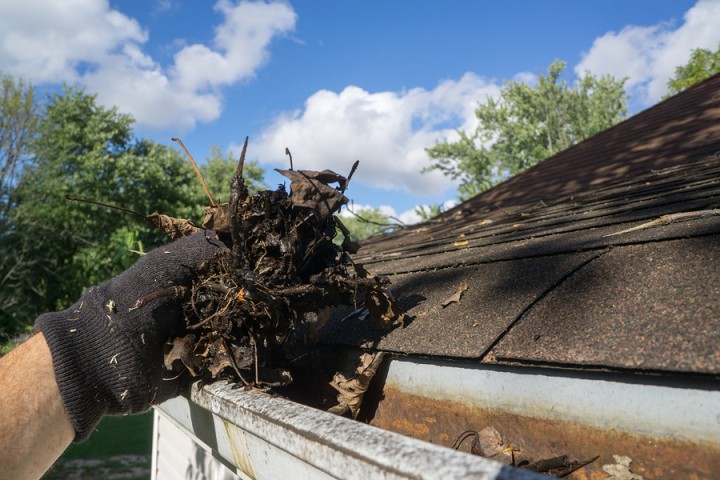 Gutter Cleaning by Cut Trim Blow&Go
