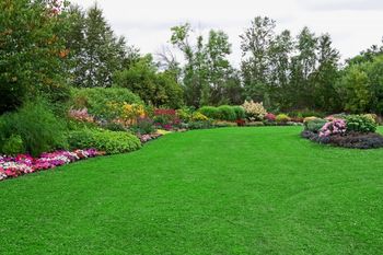 Weed Control & Lawn Fertilization in Grain Valley, Missouri by Cut Trim Blow&Go