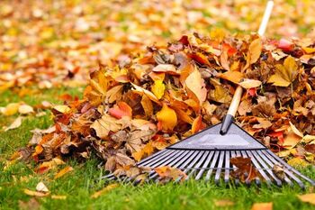 Fall Clean Up services in Grain Valley, Missouri