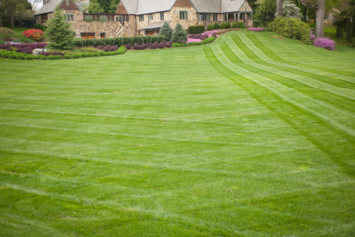 Lawn care by Cut Trim Blow&Go.
