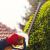 Lees Summit Pruning by Cut Trim Blow&Go