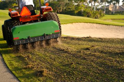 Professional lawn aeration in Grain Valley, MO by Cut Trim Blow&Go