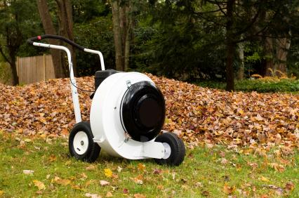 Leaf removal in Grain Valley, MO by Cut Trim Blow&Go.