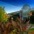 Lees Summit Commercial Landscaping by Cut Trim Blow&Go