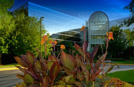 Commercial landscaping in Grain Valley, MO by Cut Trim Blow&Go.