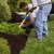 Lees Summit Spring Clean Up by Cut Trim Blow&Go