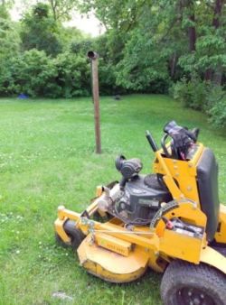 Lawn care in Lees Summit, MO by Cut Trim Blow&Go.