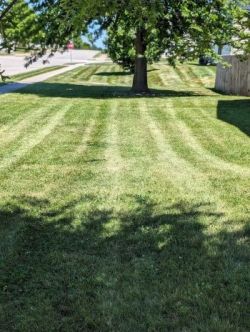 Lawn mowing in Lees Summit, MO by Cut Trim Blow&Go.