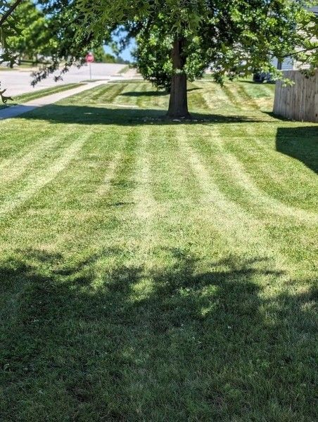 Mowing Services in Lees Summit, MO (1)